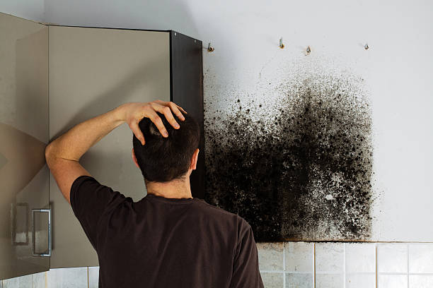 Certified Mold Removal in Dallas, TX